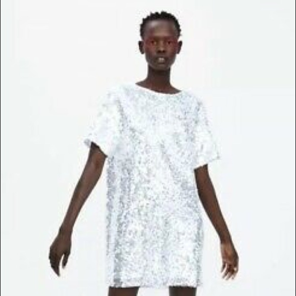 Zara Sequin Dress NWT